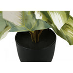 13" Monstera and Calathea Plants With 4" Black Pot - Green - Set of Two