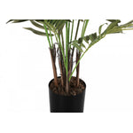 47" Areca Tree With 5" Black Pot - Green