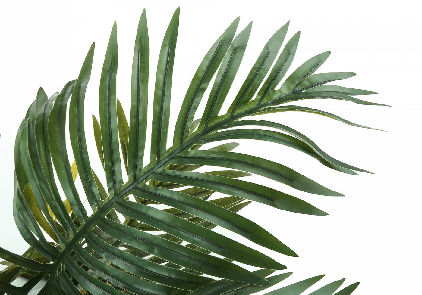 34" Palm Tree With 5" Black Pot - Green