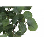 46" Eucalyptus Tree With 5" Black Pot - Green