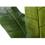 55" Banana Tree With 6" Black Pot - Green