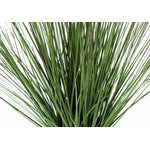21" Grass Plant With 4" White Pot - Green