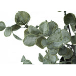 35" Eucalyptus Plant With 5" Black Pot - Green