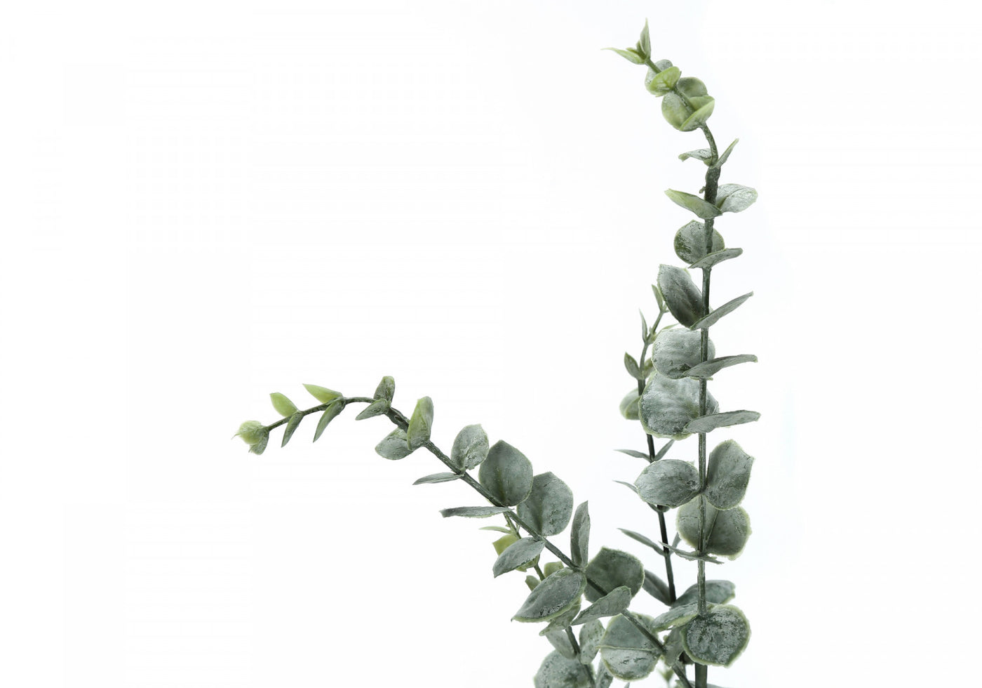 44" Eucalyptus Plant With 5" Black Pot - Green