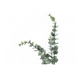 44" Eucalyptus Plant With 5" Black Pot - Green