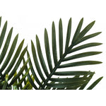 20" Palm Plant With 5" Black Pot - Green