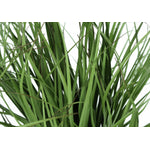 26" Grass Plant With 4" Black Pot - Green