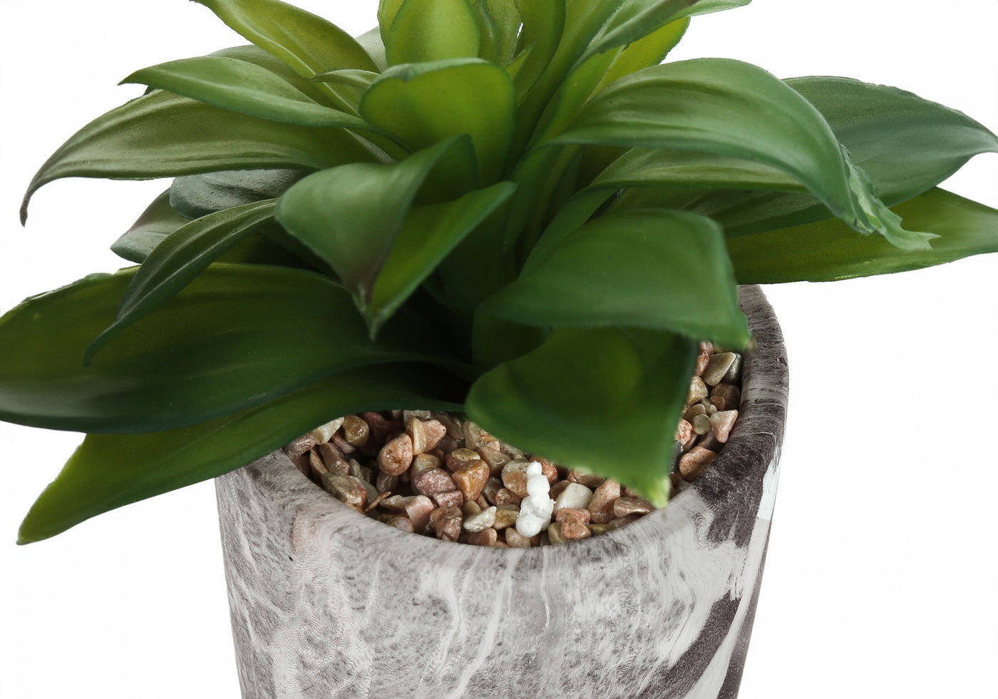 7" Succulent Plant With 4" Marble-look Pot - Green - Set of Two