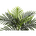 20" Palm Plant With 5" Black Pot - Green