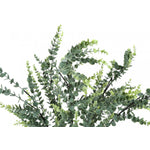 44" Eucalyptus Plant With 5" Black Pot - Green