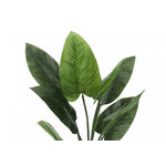 37" Aureum Plant With 5" Black Pot - Green
