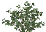 46" Eucalyptus Tree With 5" Black Pot - Green