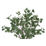 46" Eucalyptus Tree With 5" Black Pot - Green