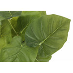 13" Epipremnum Plant With 4" Black Pot - Green - Set Of Two