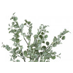 35" Eucalyptus Plant With 5" Black Pot - Green