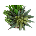 7" Succulent Plant with 3" White Pot - Green - Set of Two