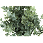 11" Eucalyptus Grass Plant With 5" Black Pot - Green - Set of Two