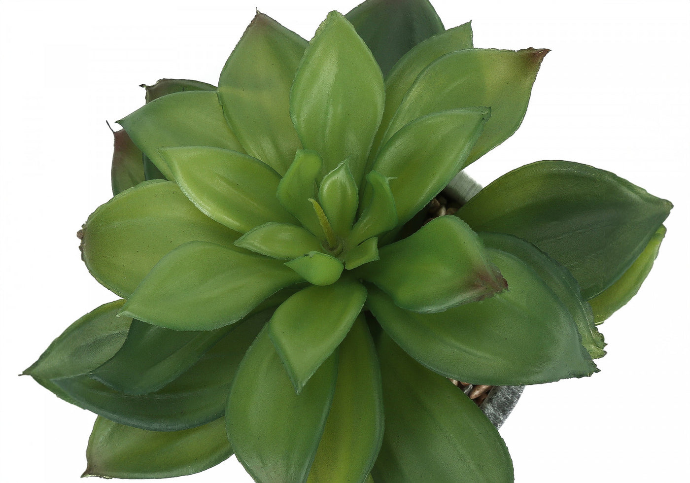 7" Succulent Plant With 4" Marble-look Pot - Green - Set of Two