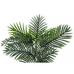 28" Palm Tree With 6" White Pot - Green