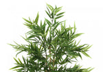 50" Bamboo Tree With 5" Black Pot - Green
