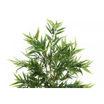 50" Bamboo Tree With 5" Black Pot - Green