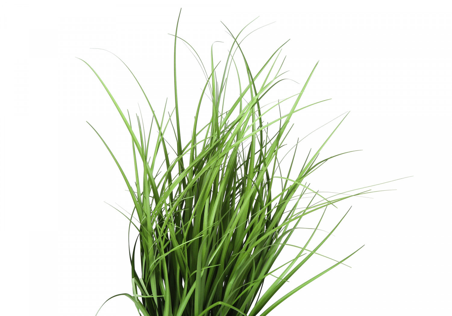 26" Grass Plant With 4" Black Pot - Green