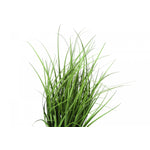 26" Grass Plant With 4" Black Pot - Green