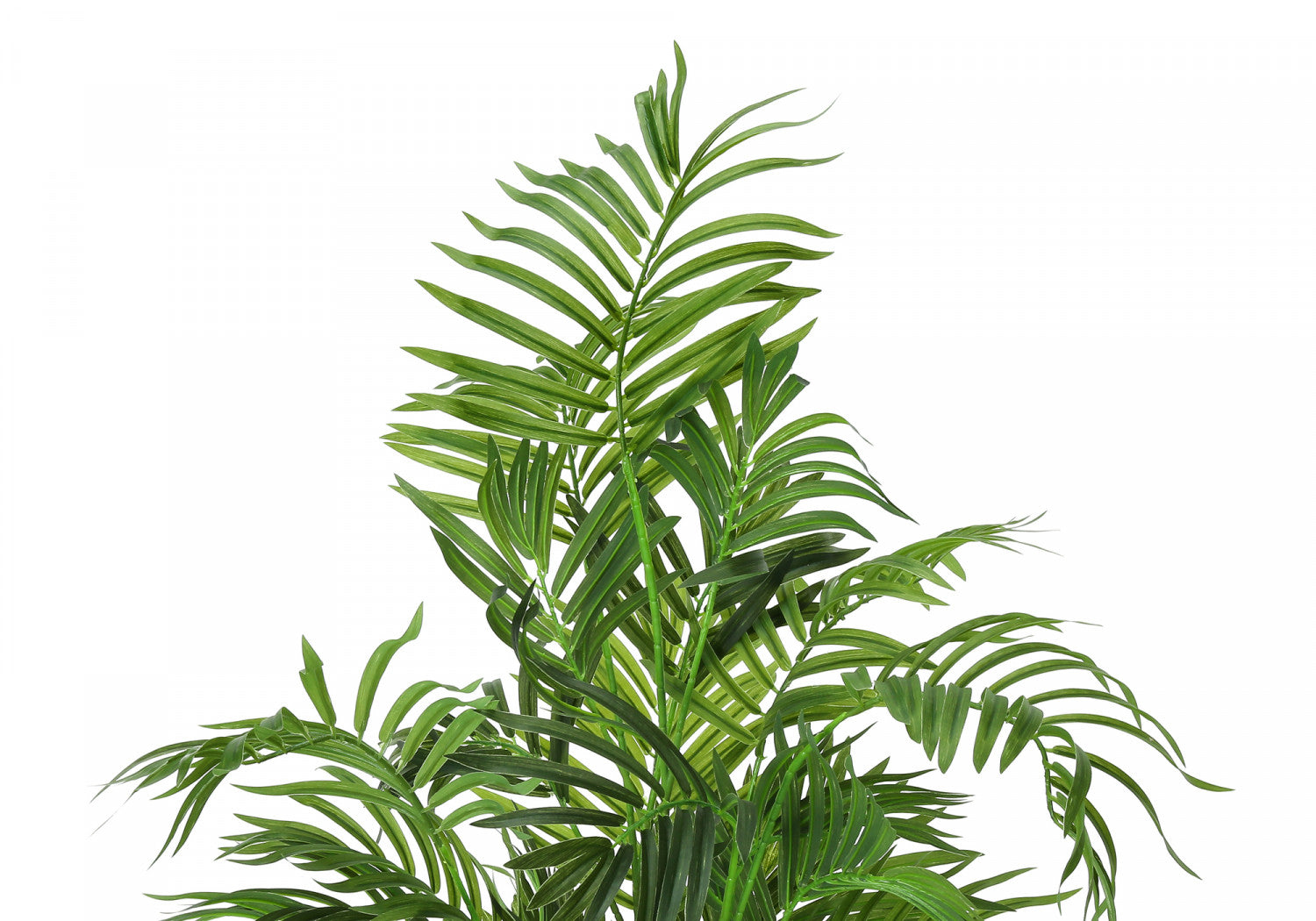 47" Areca Tree With 5" Black Pot - Green