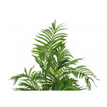 47" Areca Tree With 5" Black Pot - Green