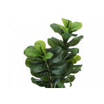 41" Fiddle Tree With 5" Black Pot - Green