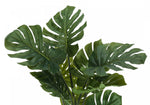 45" Monstera Plant With 6" Black Pot - Green