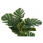 45" Monstera Plant With 6" Black Pot - Green