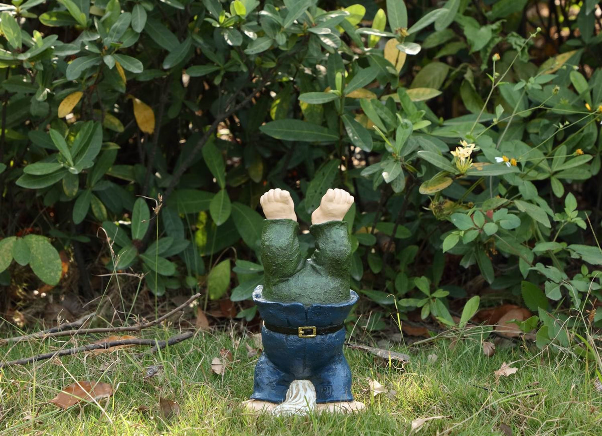 Notty Gnome - IV Statue - Blue/ Green