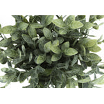 11" Eucalyptus Grass Plant With 5" Black Pot - Green - Set of Two