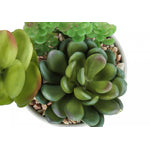 7" Succulent Plant with 3" White Pot - Green - Set of Two