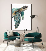 Skildpadde Framed Wall Art - 36 x 48