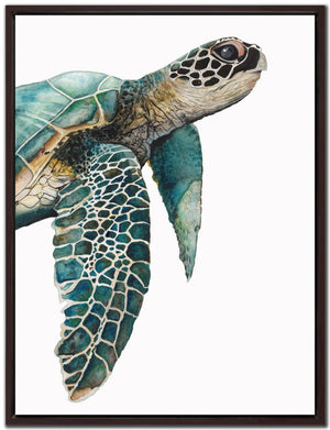 Skildpadde Framed Wall Art - 36 x 48