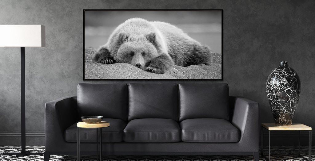 Bearly Awake I Wall Art - Grey - 61 X 31