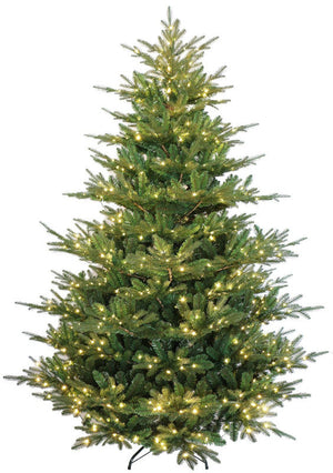 Talinn 6ft Rocky Mountain Fir Pre-Lit LED Christmas Tree - Cool White/Multi-Colour
