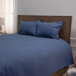 Aubrac Cotton Queen Comforter Set with 2 Standard Pillows - Blue