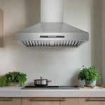 VICTORY Stainless Steel 30" 750 CFM Wall Mount Range Hood - Breeze-30