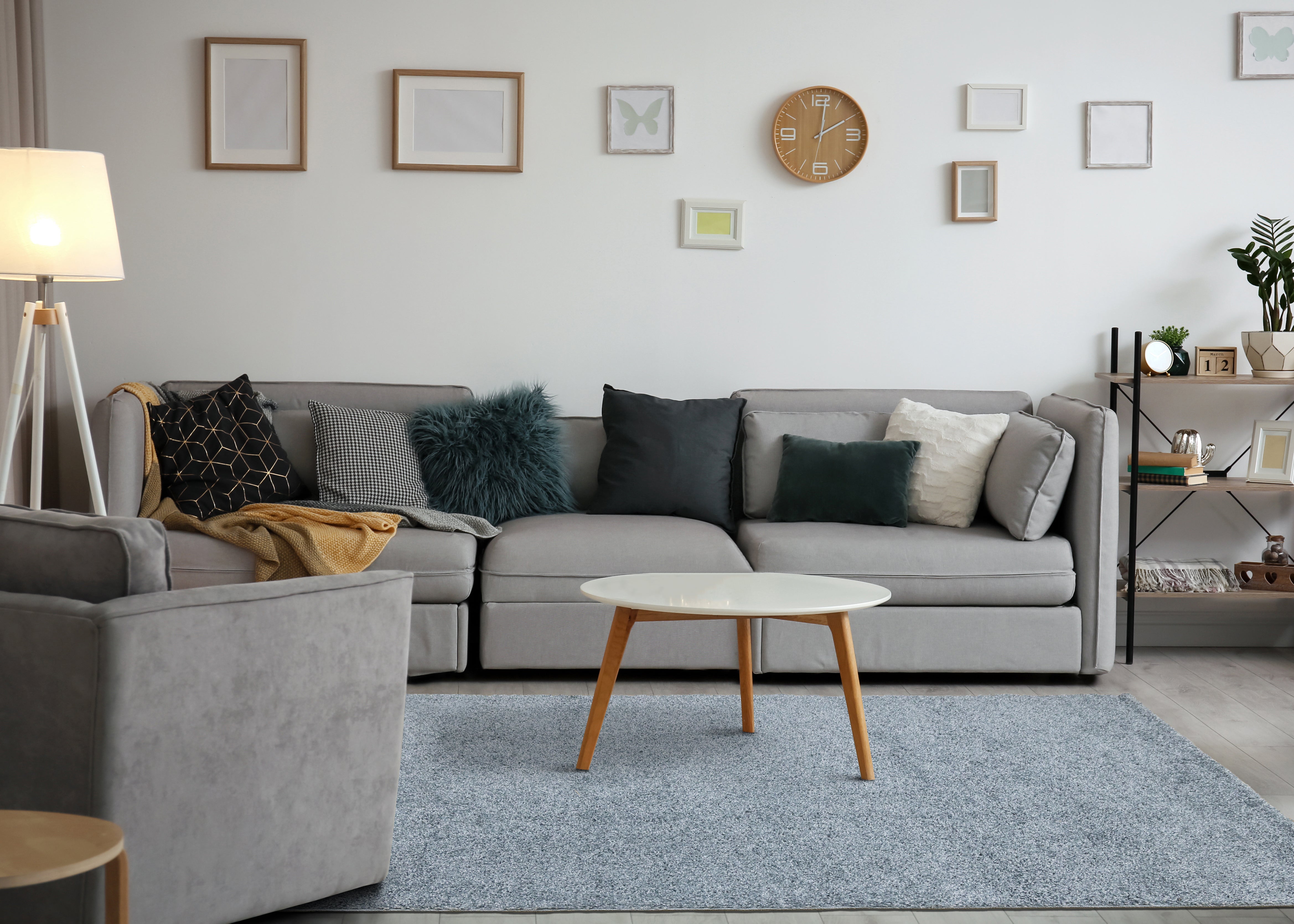 Brio 5'3" x 7'7" Shag Area Rug - Blue