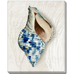 Glass Shell I Wall Art - Blue - 16 X 20