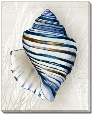 Glass Shell II Wall Art - Blue - 16 X 20