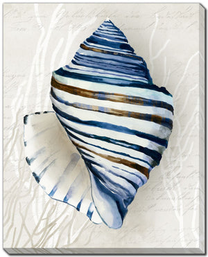 Glass Shell II Wall Art - Blue - 16 X 20