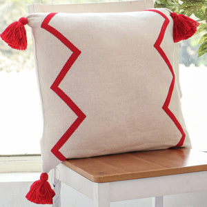 Aydin I 20" x 20" Decorative Cushion - Red/Natural