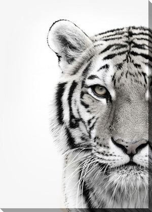 Colourless Tiger Canvas Wall Art - 30 X 45