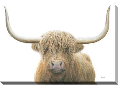 Perfect Highland Head Shot I Canvas Wall Art - 30 X 45