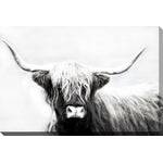 Perfect Highland Headshot II Canvas Wall Art - 30 X 45