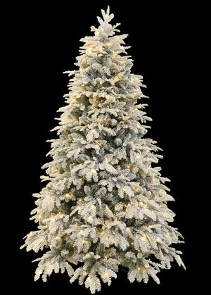 Aalborg 8 Ft Deep Forest Snow Spruce Pre-lit Christmas Tree - Warm White